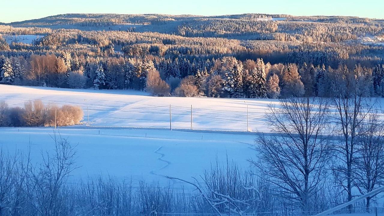 Ramsele Cozy Stuga - Mountain View מראה חיצוני תמונה